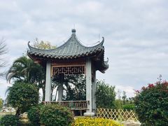 -海珠湖公园