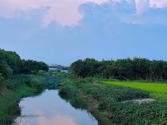 -暮谷MUGO ·团建聚会·露营烧烤·生日派对·共享菜地