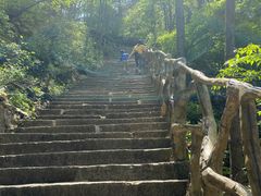 -罗田天堂寨风景区