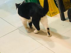 -野火鲜货烧烤(河边小院店)