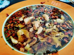 -向外鱼乐·土菜·虹鳟鱼