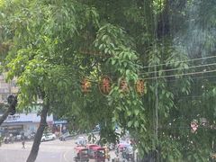 -淼福猪肚鸡·椰子鸡火锅(大沙地店)