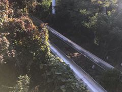 -富斯特索道