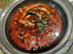 -樽宴酒楼·地道川菜·品质宴请