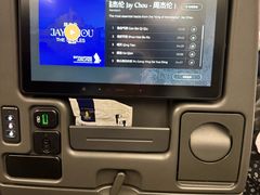 -新加坡航空公司(ION)