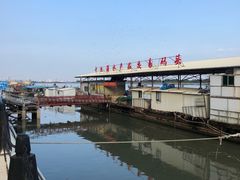 -大湾区中央湿地公园-十九涌
