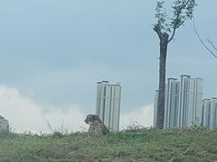 -太原动物园