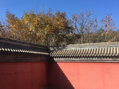 -妙峰山风景名胜区