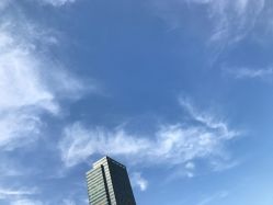 -MUSES专业脱毛比基尼サロン日式连锁