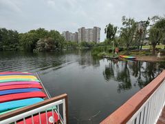 -新江湾城公园