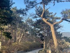 -庐山风景区花径公园