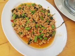 -绿光森林餐厅