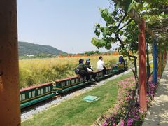 -苏州太湖西山岛开心农场