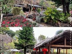 -南诏风情岛