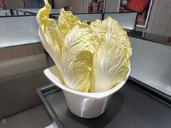 娃娃菜-海底捞火锅(巴黎春天浦建店)