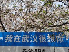 -东湖生态旅游风景区
