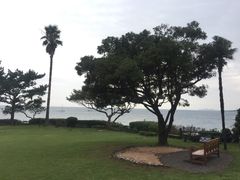 -柱状节理带