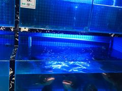 -姜君·千岛湖鱼头馆(浦东大道店)