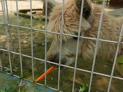 -武汉紫薇都市田园