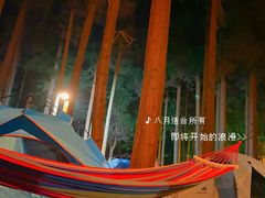 -武陵山森林公园