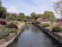 -羊山湖公园