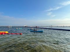 -碧海金沙