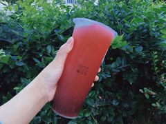 手摇鲜杨梅-柚见鲜茶(新沂富民路店)