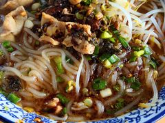 -平安桥张氏肥肠粉