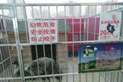 -萌宠亲子动物乐园(槐房万达店)