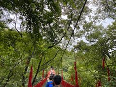 -桂林古东瀑布景区