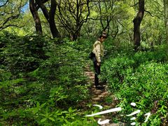 -上海共青森林公园