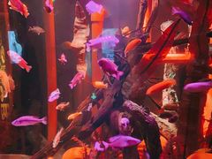 -沈阳海洋探索中心