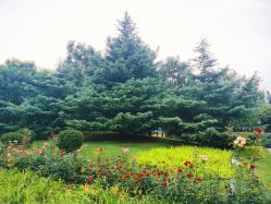 -大望京儿童游乐场