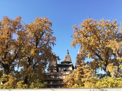 -北京石刻艺术博物馆(五塔寺)