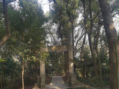 -上海佘山国家森林公园天马山园