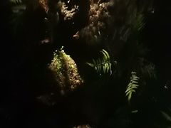 -泰之源足浴会所(玉环店)