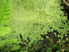 景点-陶然亭公园