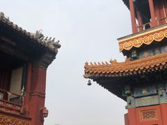 -四喜小胖·北京涮肉(五道营店)