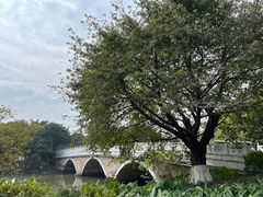 -海珠湖公园