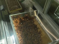 -三江源牌冬虫夏草(中山北路店)