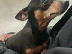 -纳吉亚猫专科动物医院·北北分院