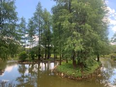 -佛冈森波拉度假区