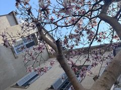 -上海佘山国家森林公园西佘山园