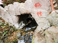 -天女山森林公园