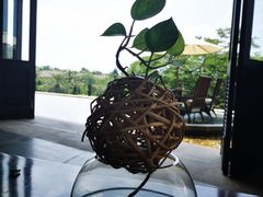 -三亚国光豪生度假酒店-椰语堂(国光豪生店)