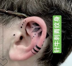 点击看大图 -针牛刺客·刺青纹身
