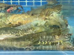 -渔夫蒸鲜(世奥湾店)