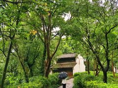 -西溪国家湿地公园