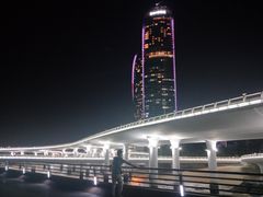 -演武大桥观景平台