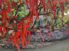 -小洲村